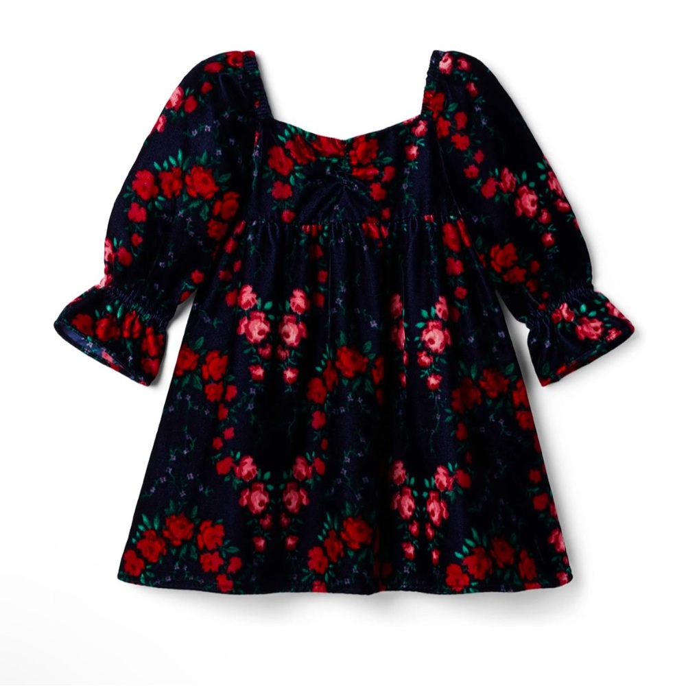 Janie and Jack Rose Print Dress Dark Navy Velvet Size 12